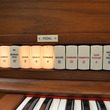 Rodgers Trillium 807 organ - Organ Pianos